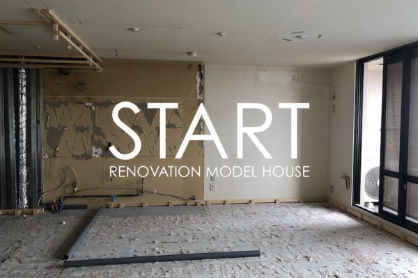 renovation_MH_eye